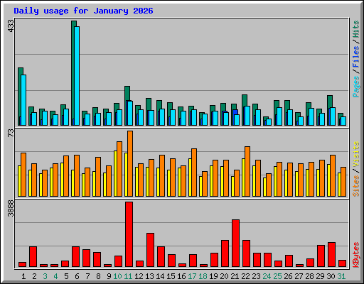 Daily usage for January 2026