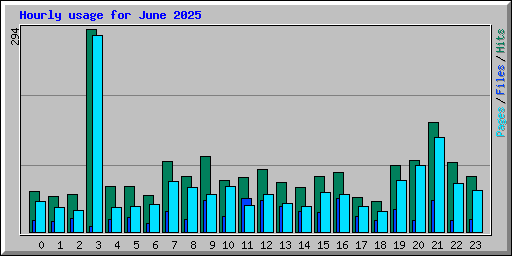 Hourly usage for June 2025