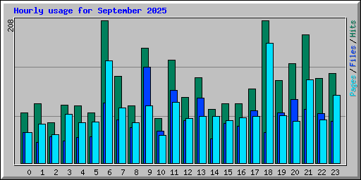 Hourly usage for September 2025