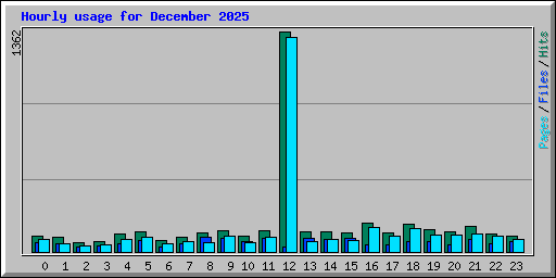 Hourly usage for December 2025