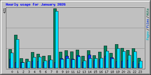 Hourly usage for January 2026