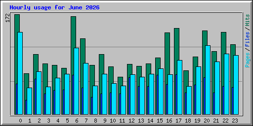 Hourly usage for June 2026